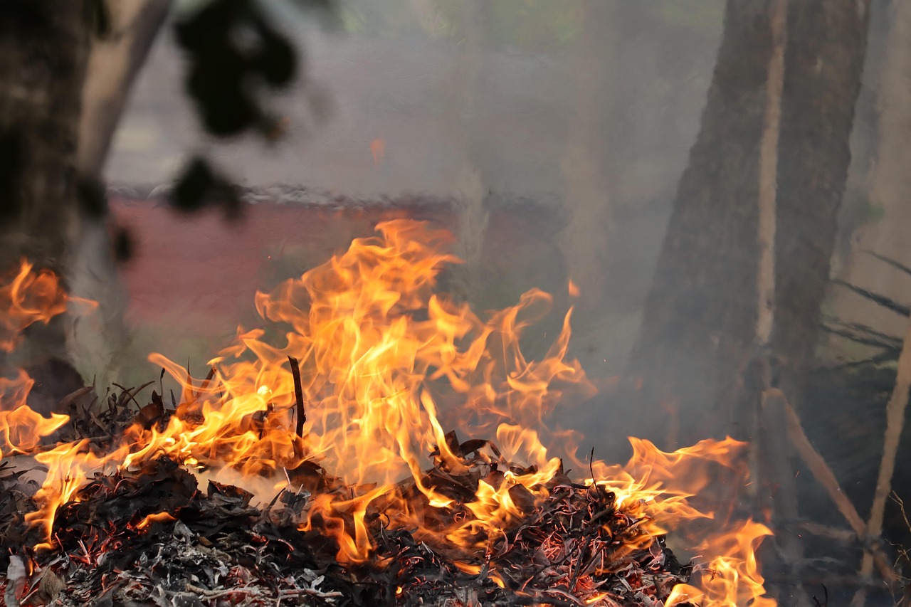Nový zákaz pálení biologického odpadu