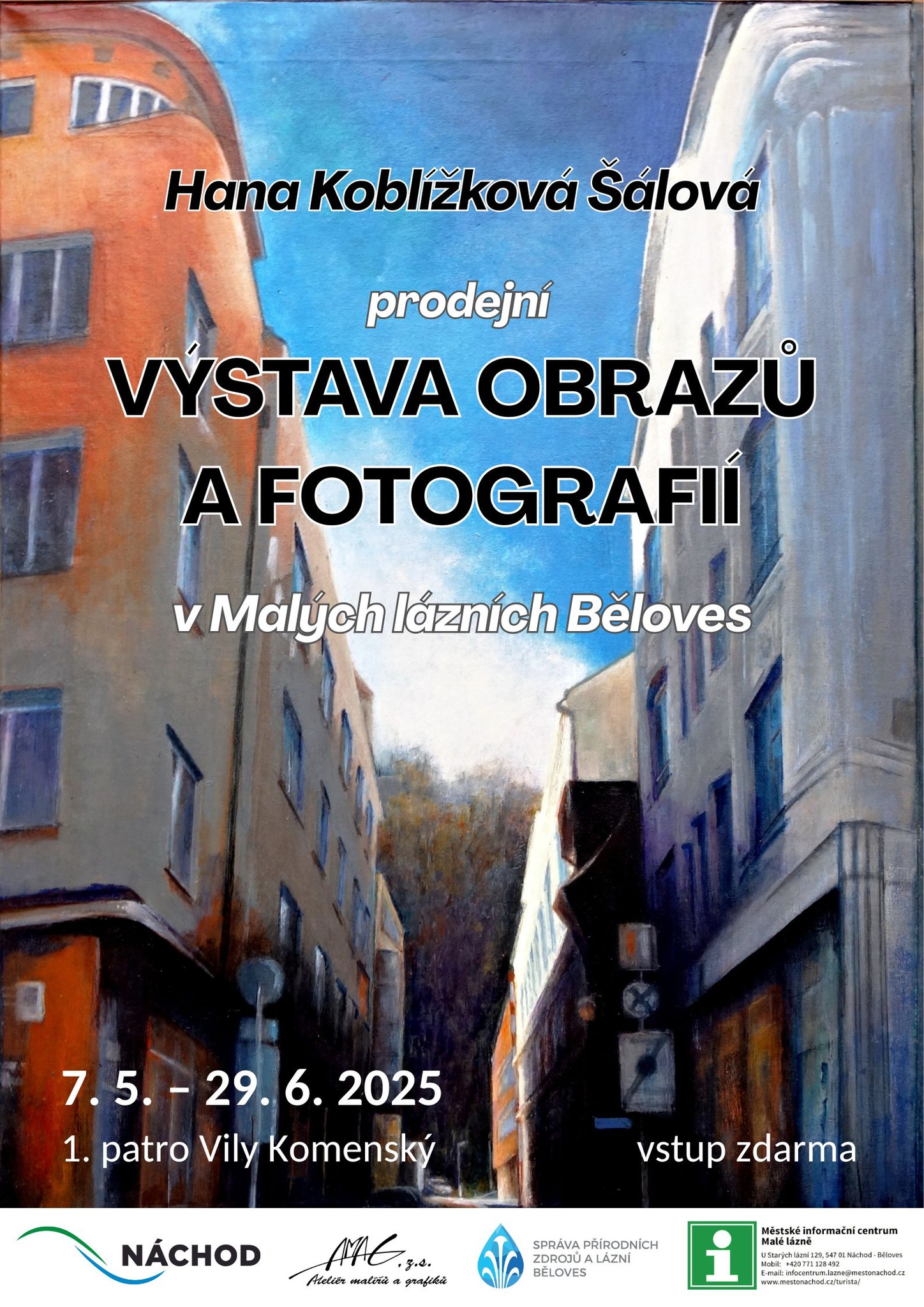 PlakátHana Koblížková Šálová: prodejní výstava obrazů a fotografií